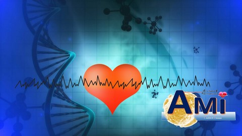 archaeome; gut microbiome; ami-hd; brugere; archaea; archées; Methanomassiliicoccales; archaebiotics