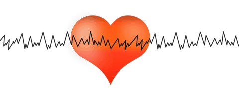 Archaebiotics;archaeome; gut microbiome; ami-hd; brugere; archaea; archées