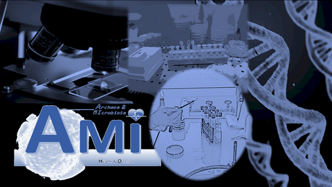 archaeome; gut microbiome; ami-hd; brugere; archaea; archées; Methanomassiliicoccales; archaebiotics; ECSIM; in vitro simulation;