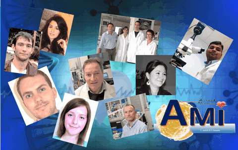 archaeome; gut microbiome; ami-hd; brugere; archaea; archées; Methanomassiliicoccales; archaebiotics