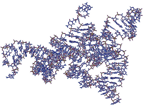 archaeome; gut microbiome; ami-hd; brugere; archaea; archées; Methanomassiliicoccales; archaebiotics; TMAO; trimethylamine; methylamine; TMA; pyrrolysine; Pyl